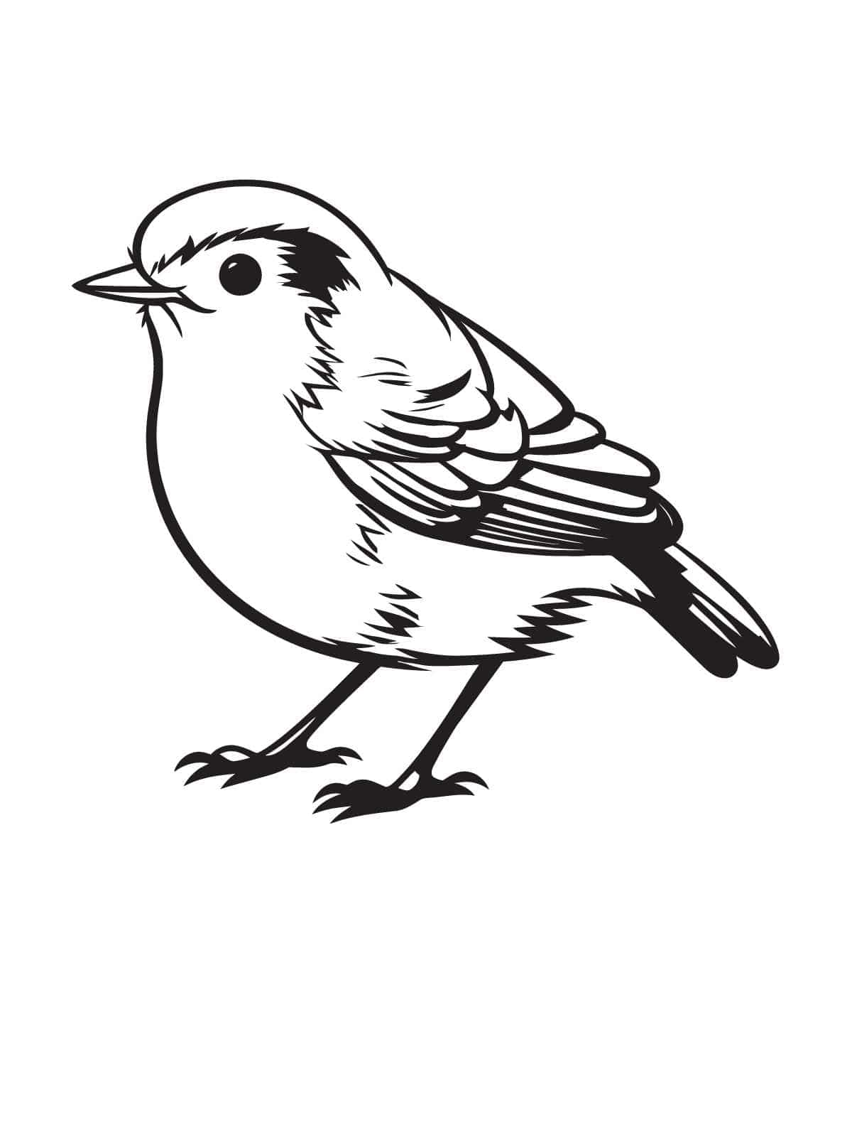 Bird With Baby Birds In Nest Coloring Page