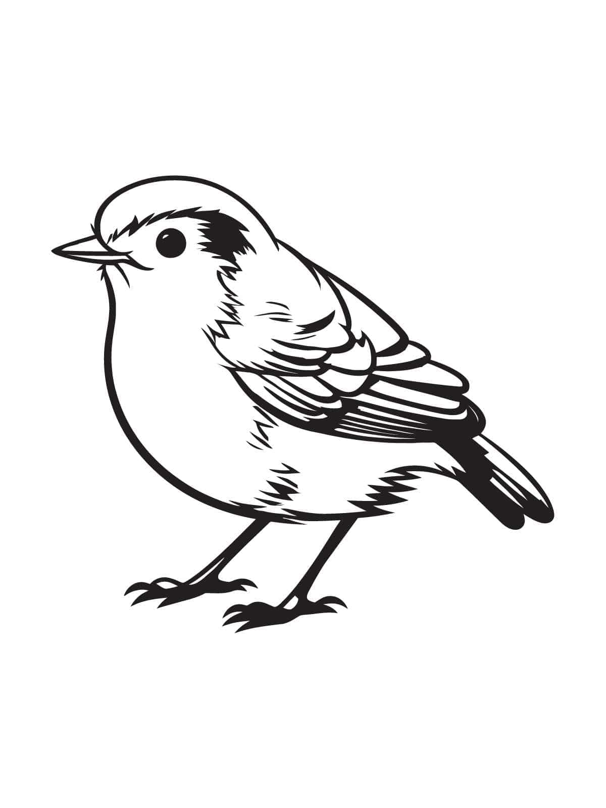 Bird With Food Coloring Page