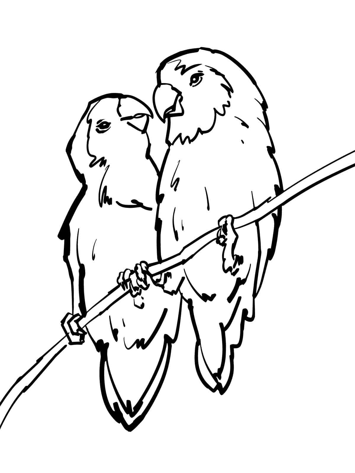 Bird With Nest Coloring Page