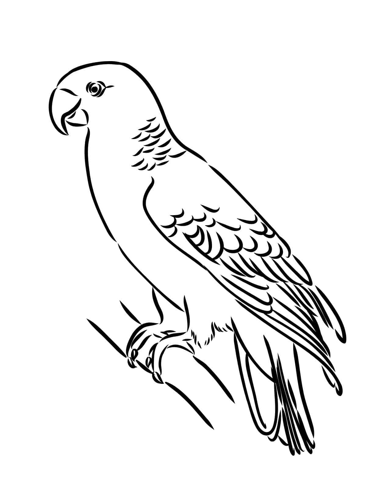 Bird With Worm Coloring Page