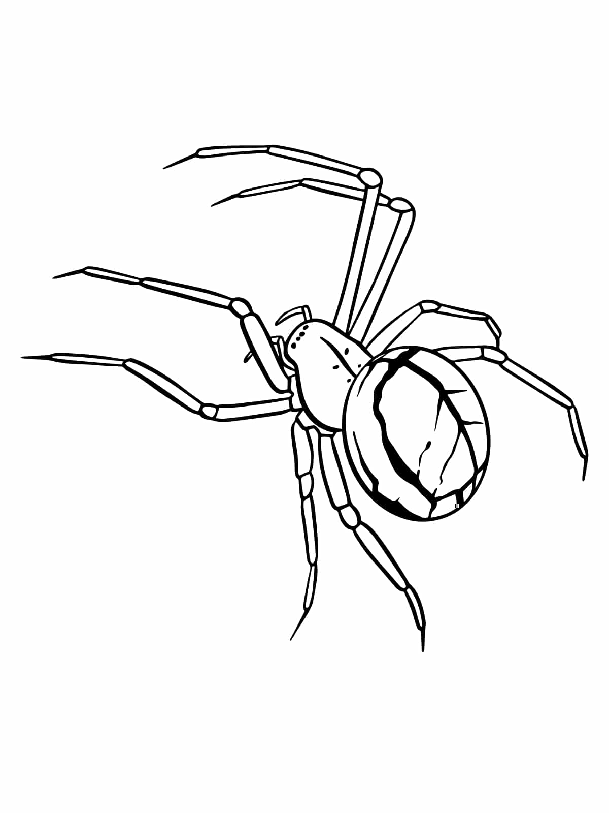 Cartoon Spider Coloring Page