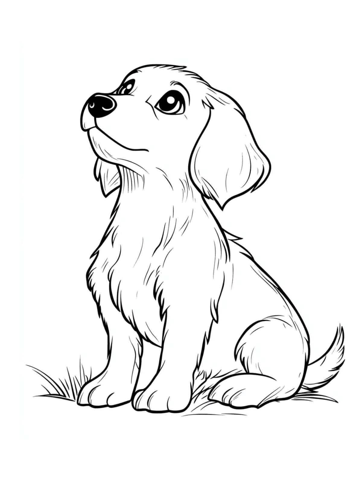 Dog Looking Up At The Sky Coloring Pages