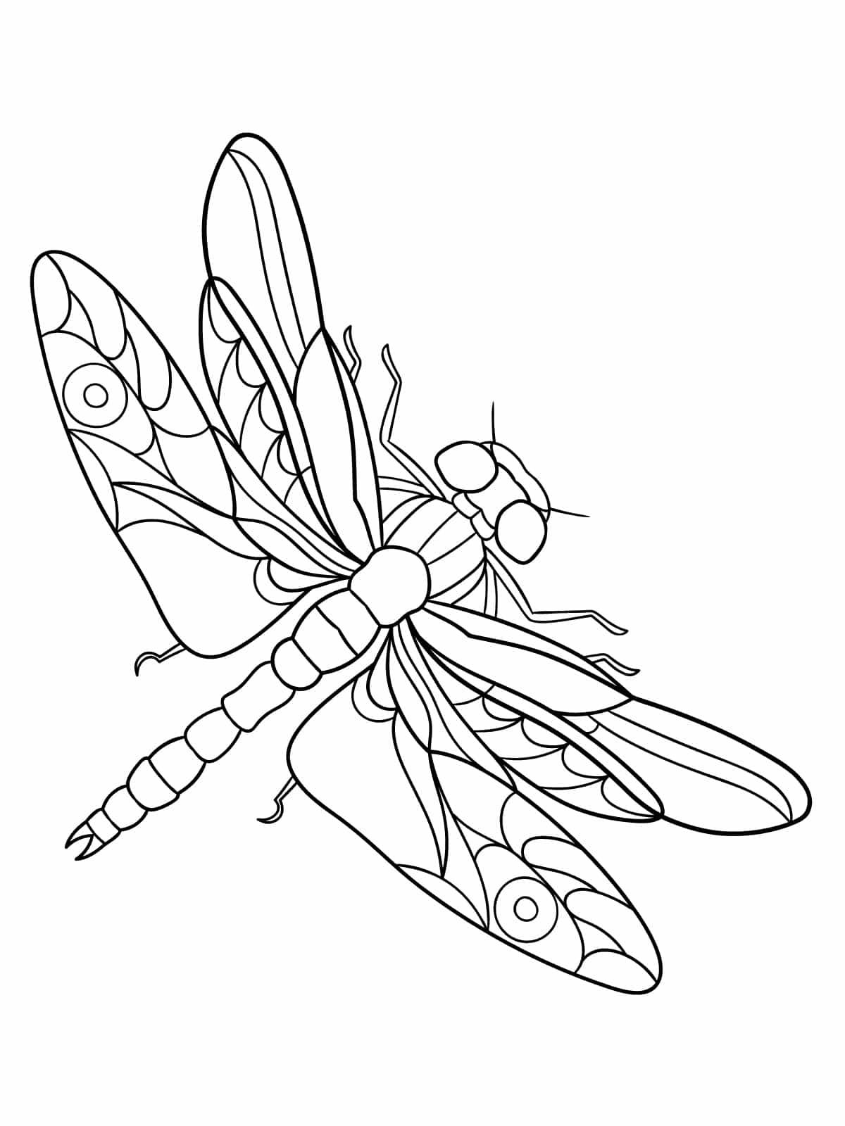 Dragonfly Perching On Leaf Coloring Page