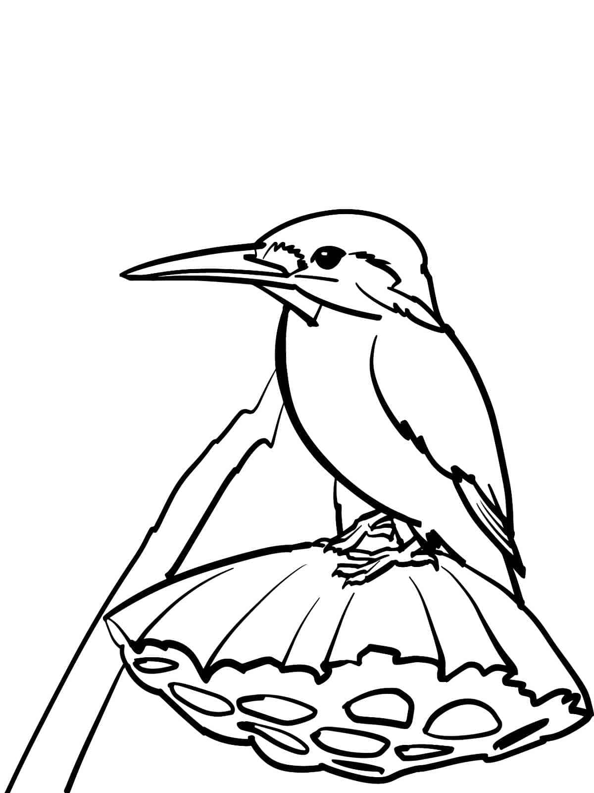 Forest Bird Coloring Page