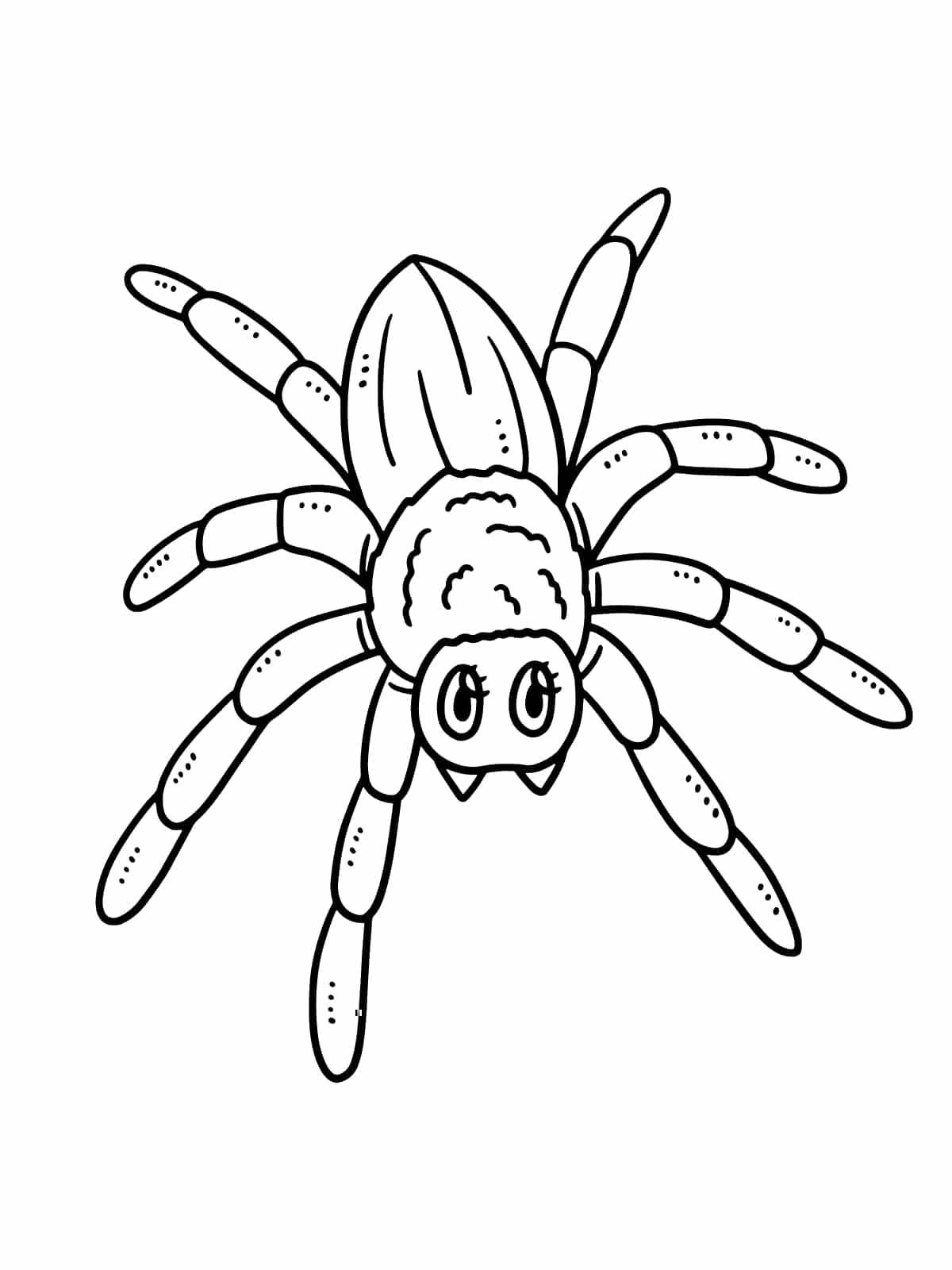 Friendly Spider Coloring Sheets