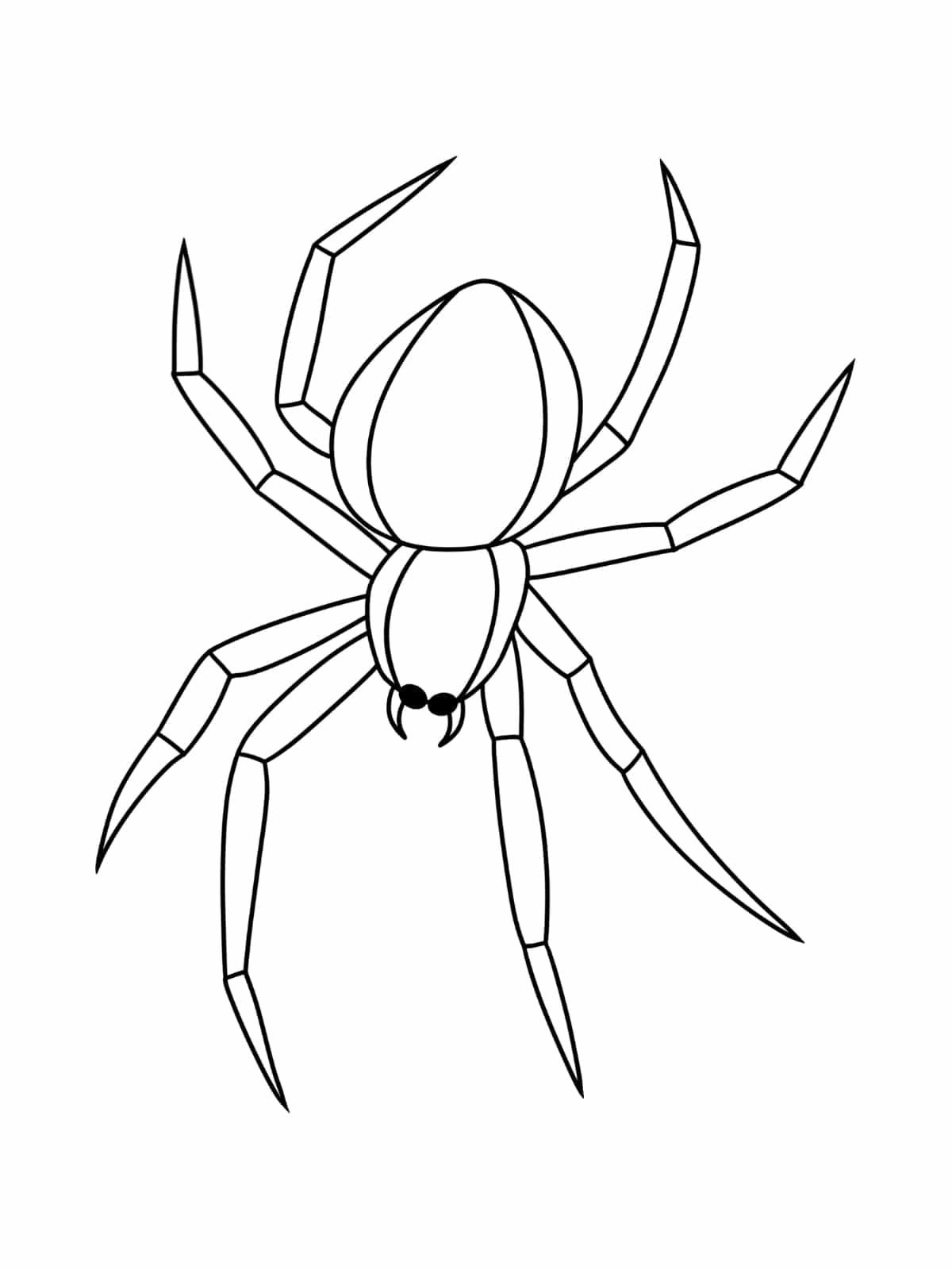 Fun Spider Coloring Page