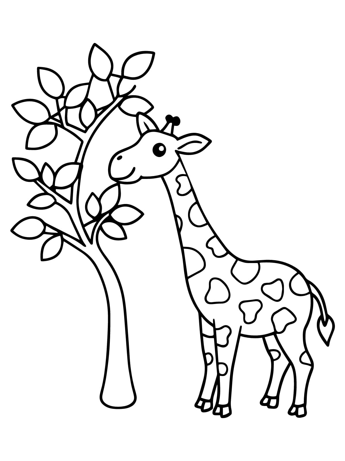 Giraffe Eating Leaves Coloring Sheets