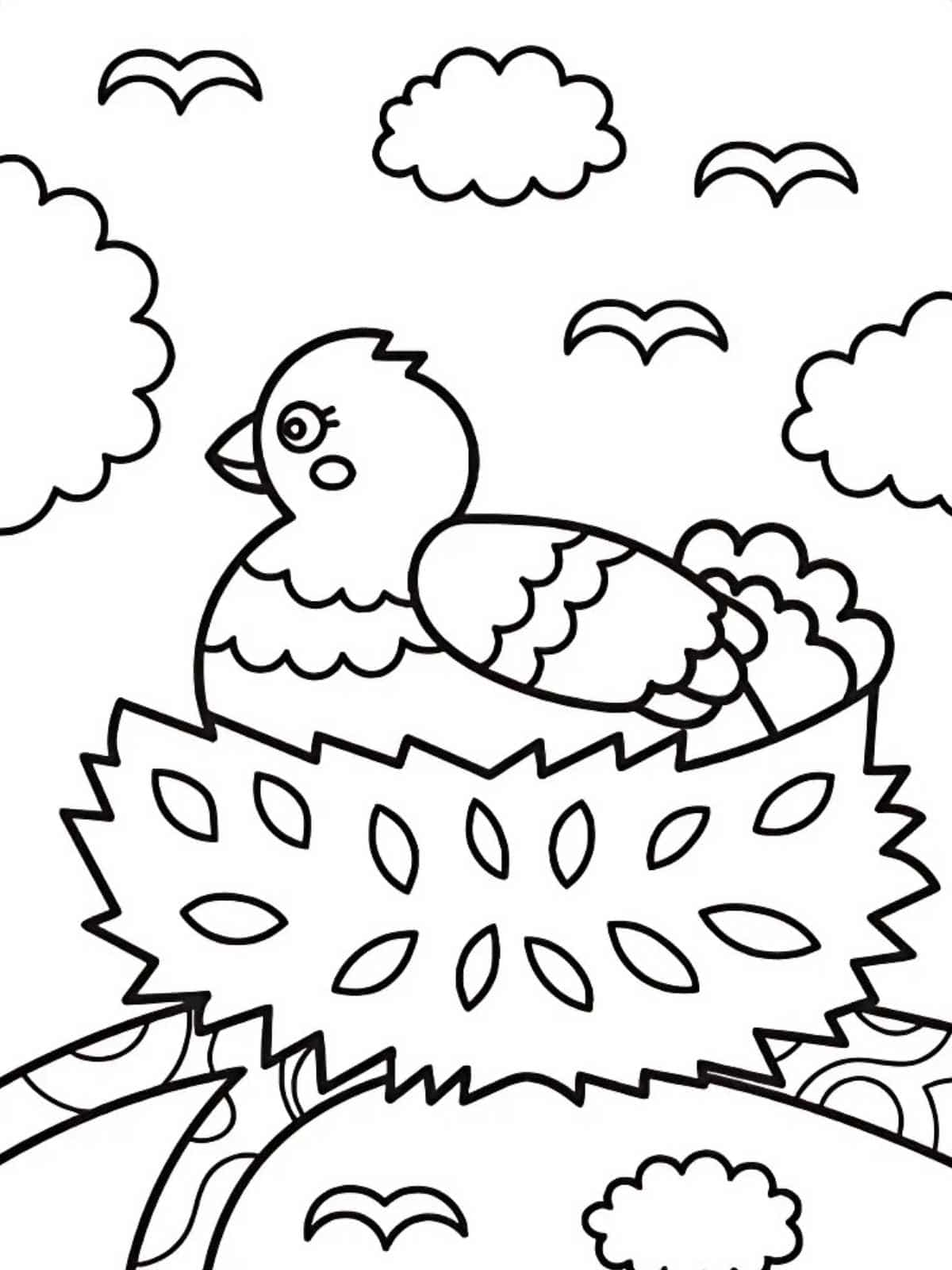 Happy Bird Coloring Pages