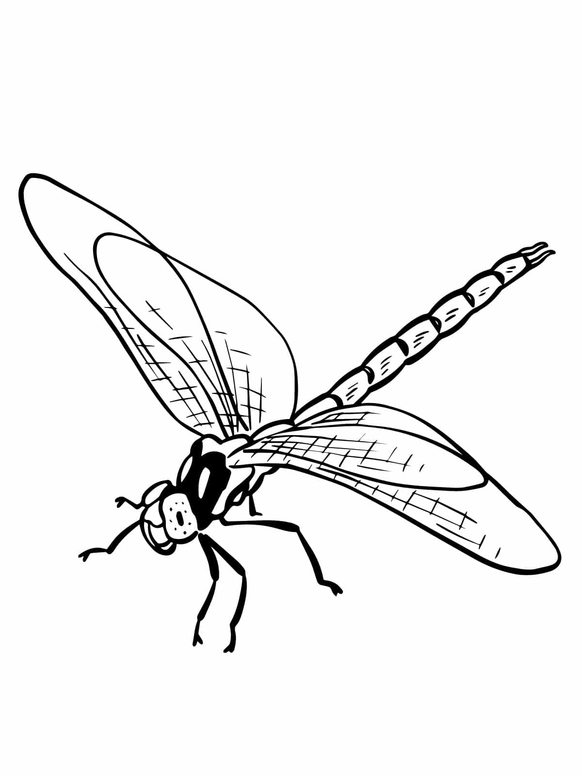 Happy Dragonfly Coloring Pages