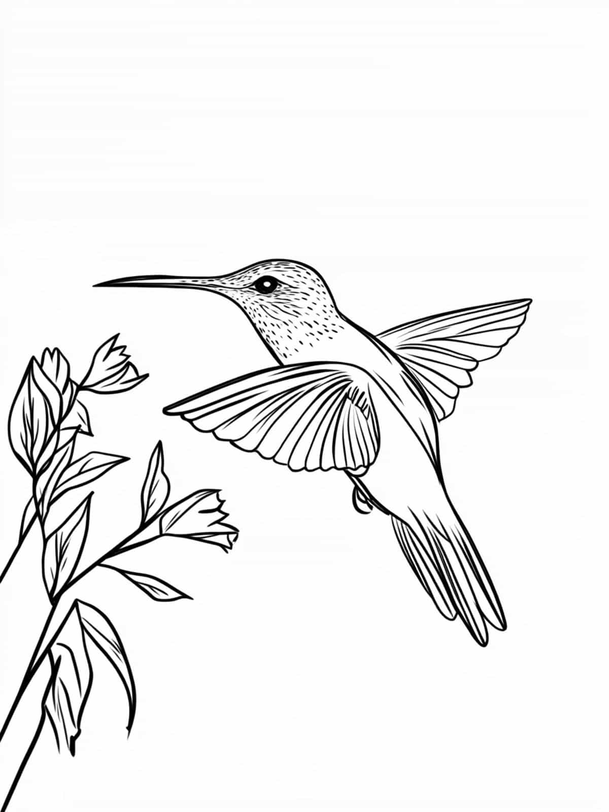 Hummingbird At Sunrise Coloring Page Simple