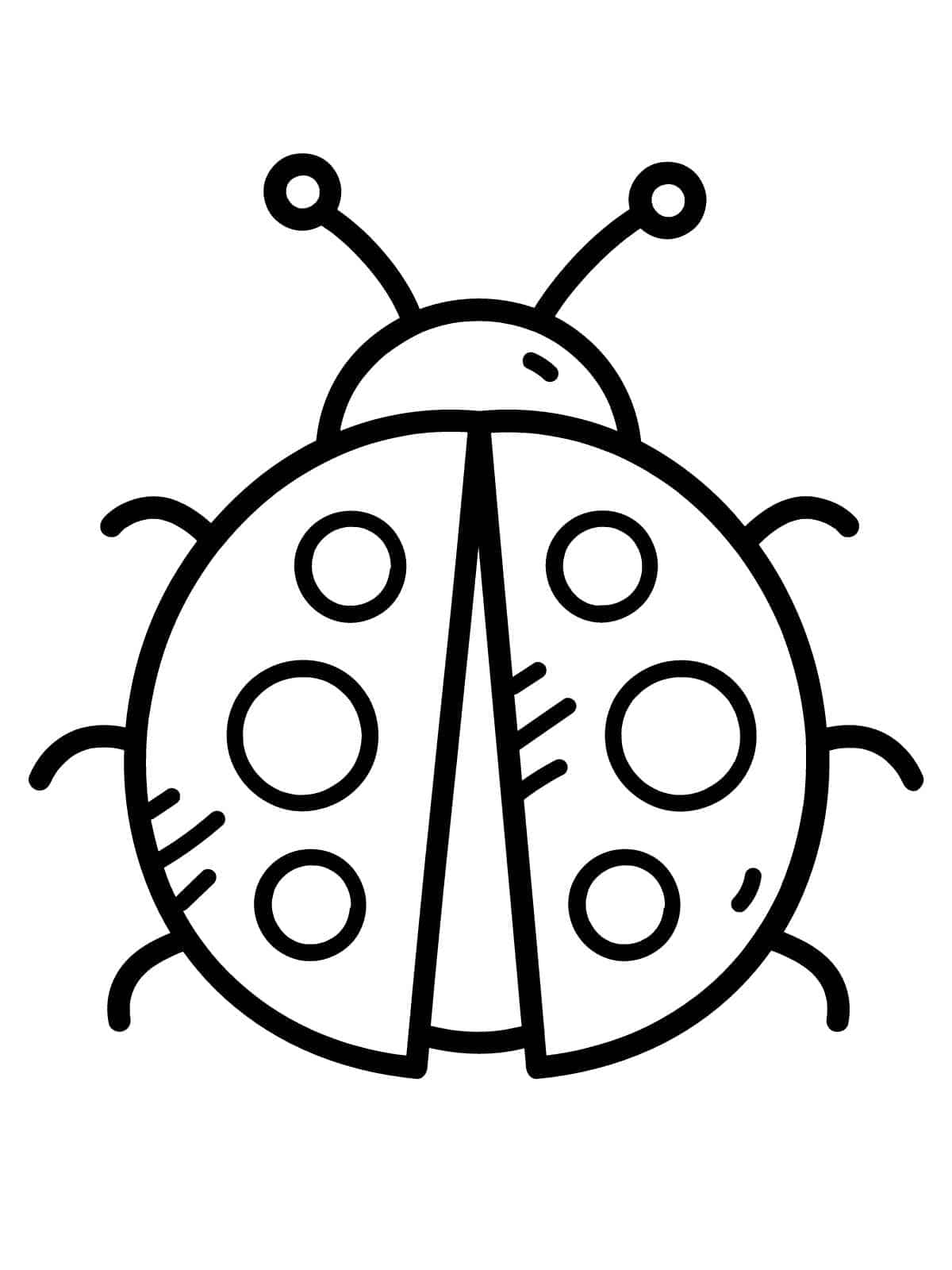 Ladybug In Meadow Coloring Page