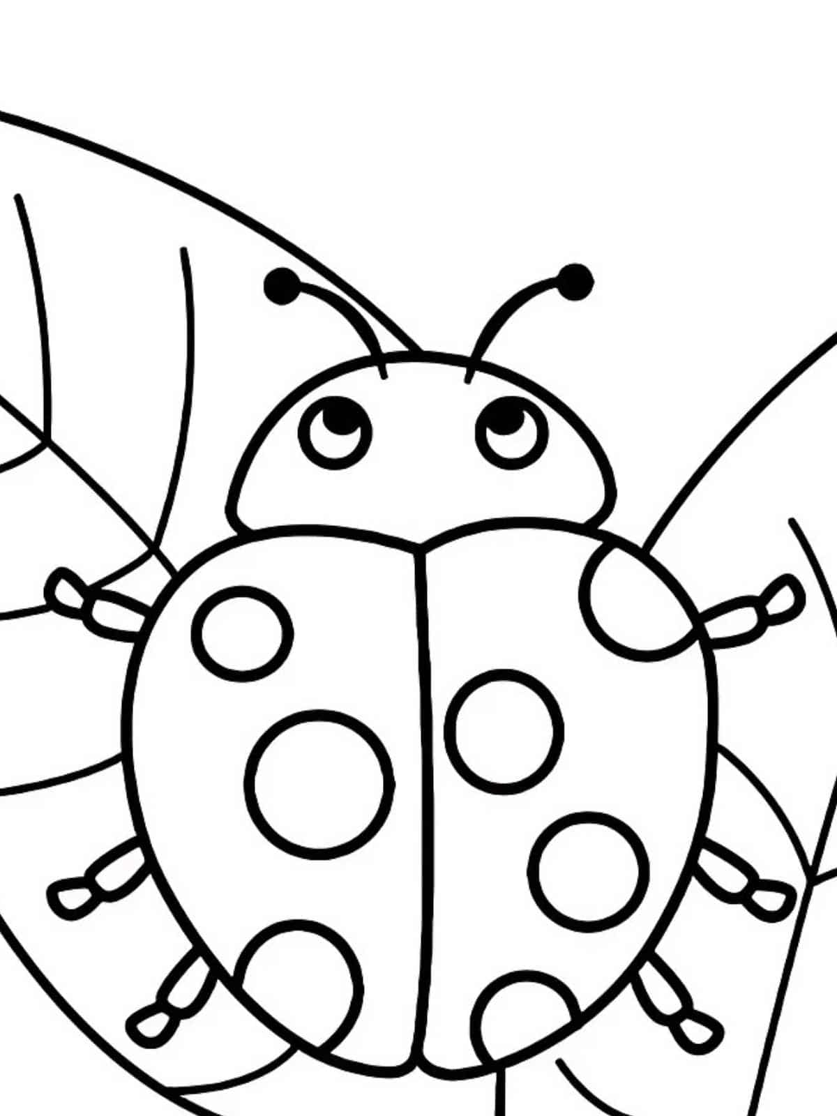 Ladybug With Antennae Coloring Page