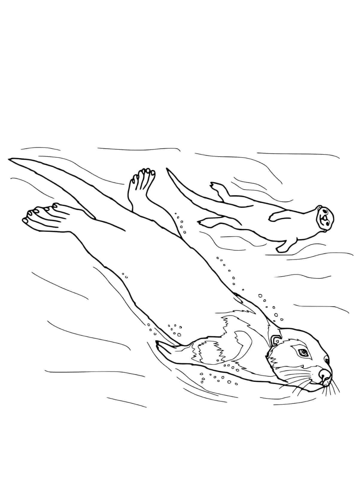 Otter In Forest Coloring Pages