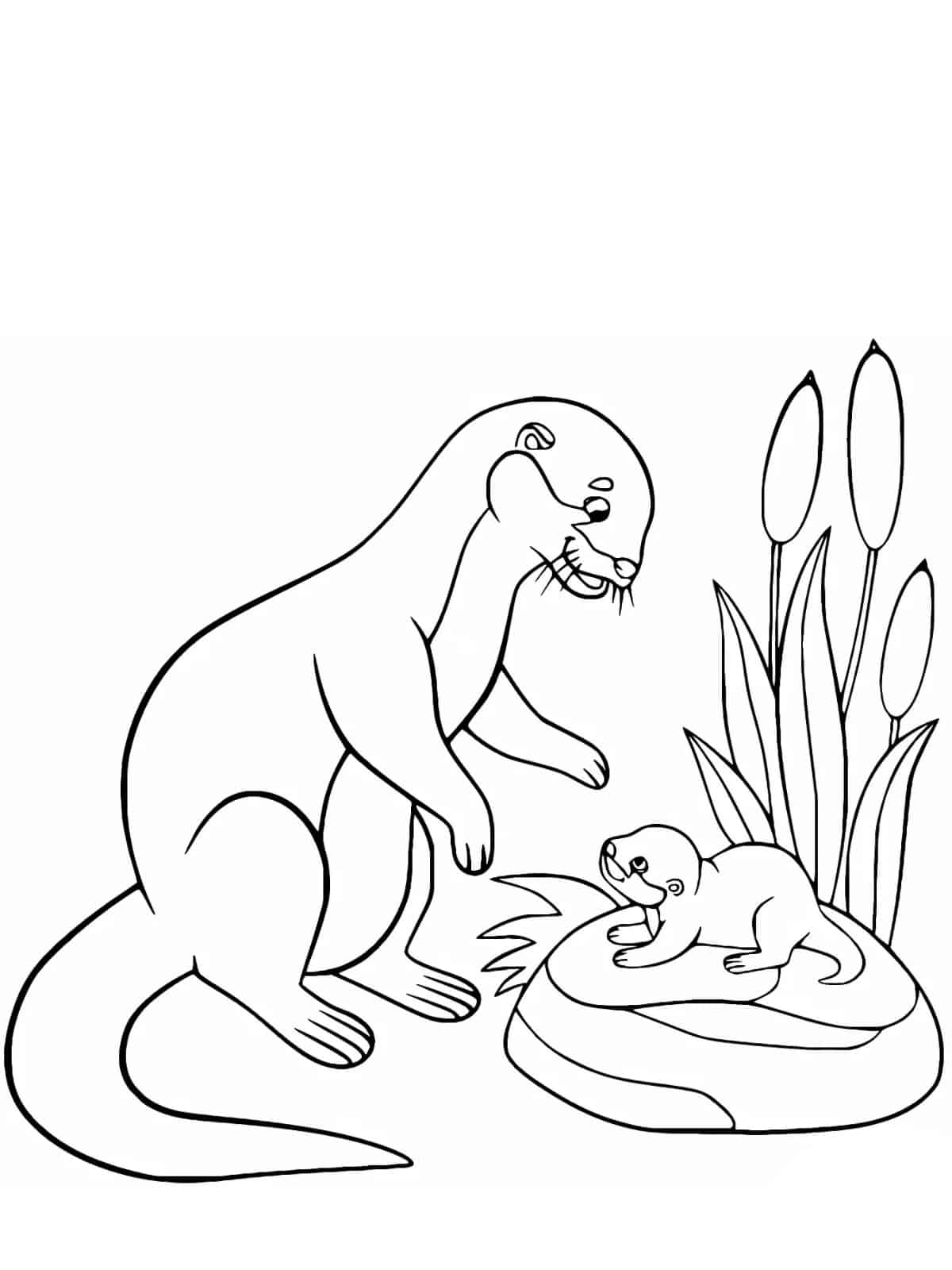 Otter On Rock Coloring Pages