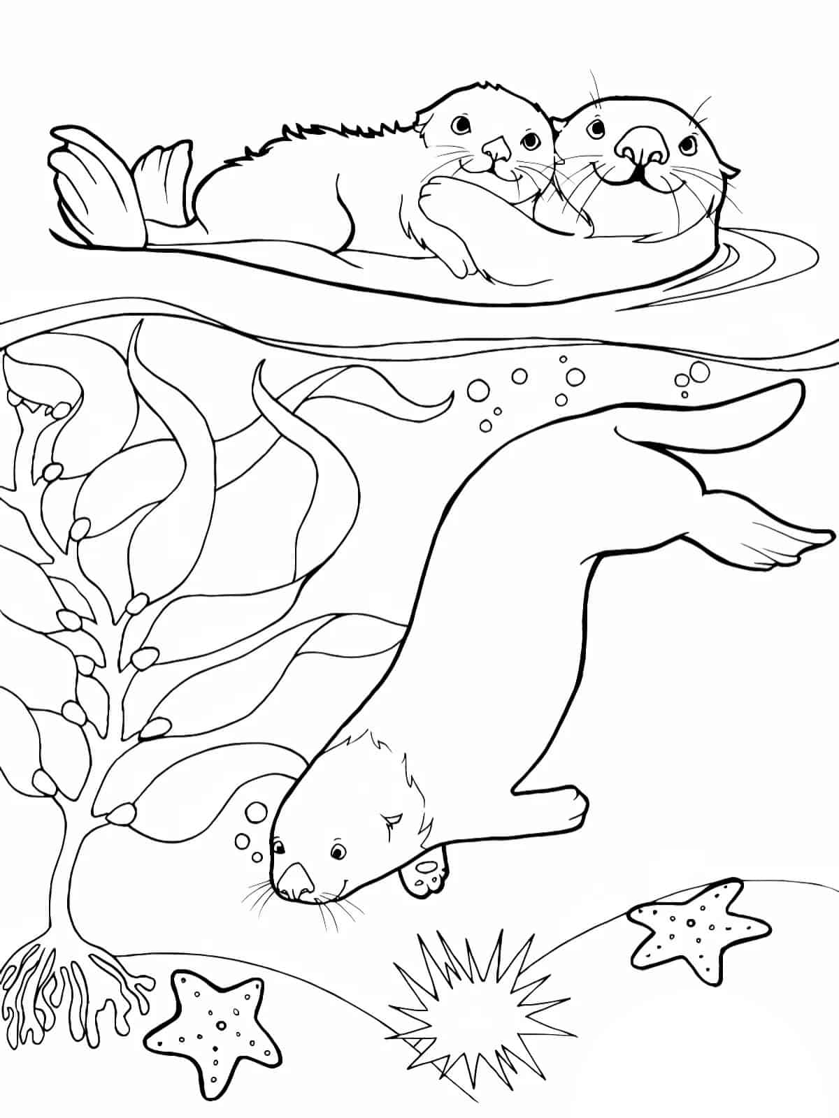 Otter Playing In Water Coloring Page