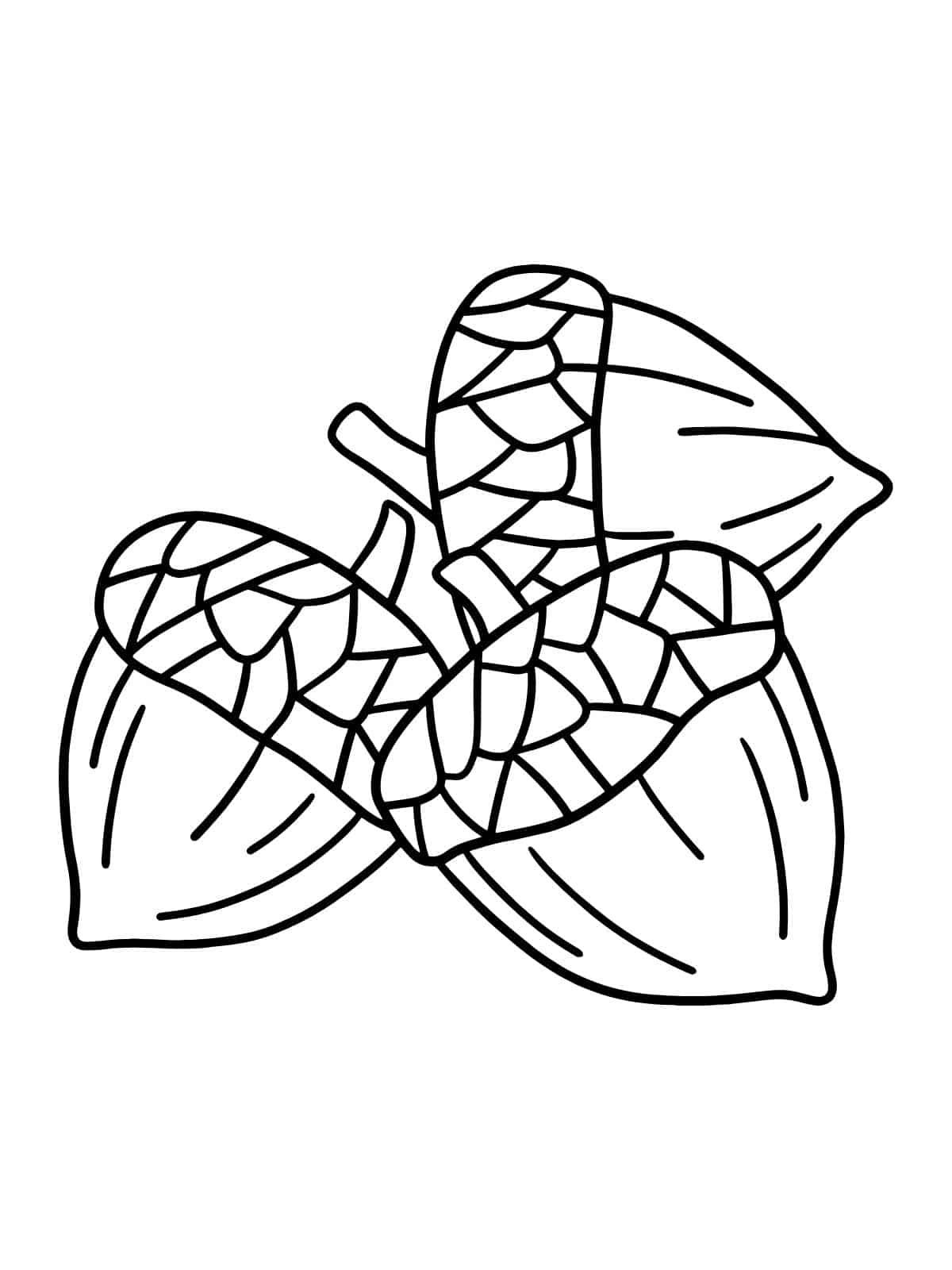 Oval Coloring Pages