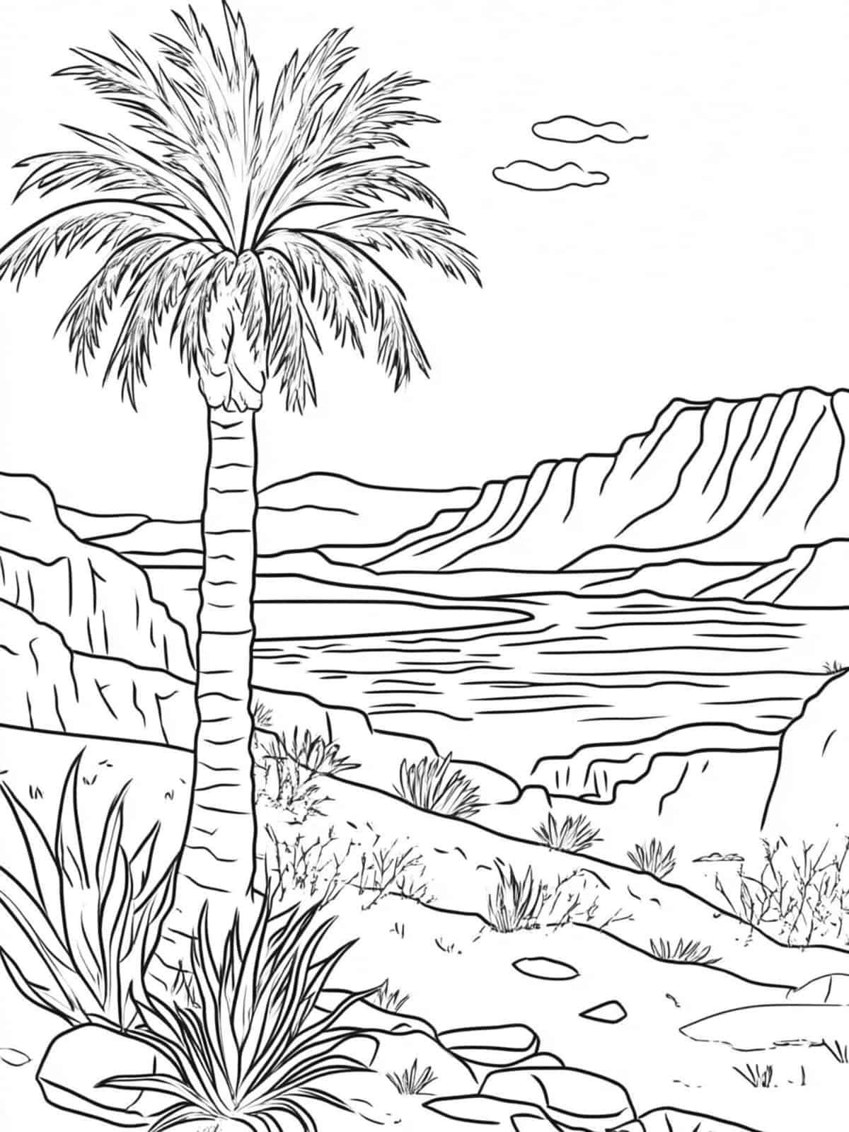 Palm Tree In A Desert Oasis Coloring Page