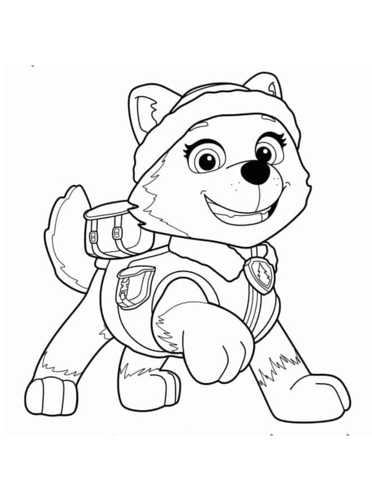 Paw Patrol Everest Snow Adventure Coloring Pages