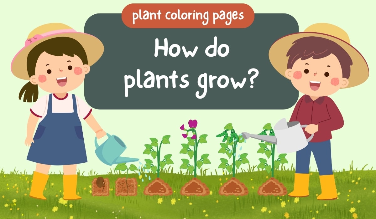 Plant Coloring Pages Banner Min