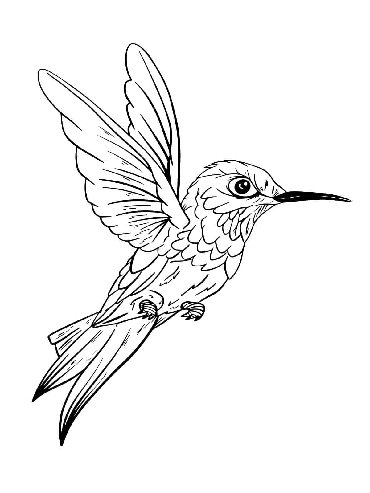 Realistic Bird Coloring Page