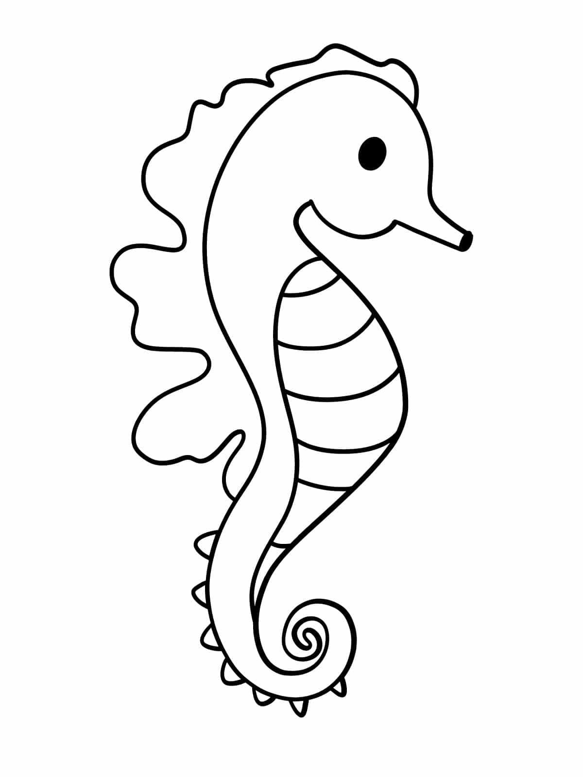 Simple Seahorse Outline Coloring Pages For Kids