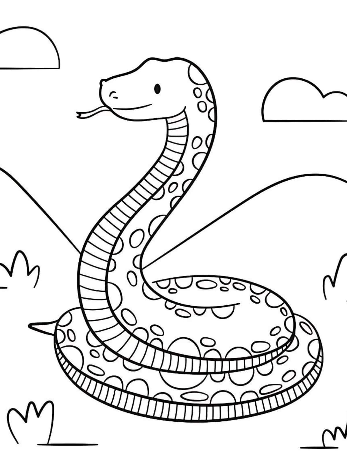 Snake In The Grass Coloring Pages