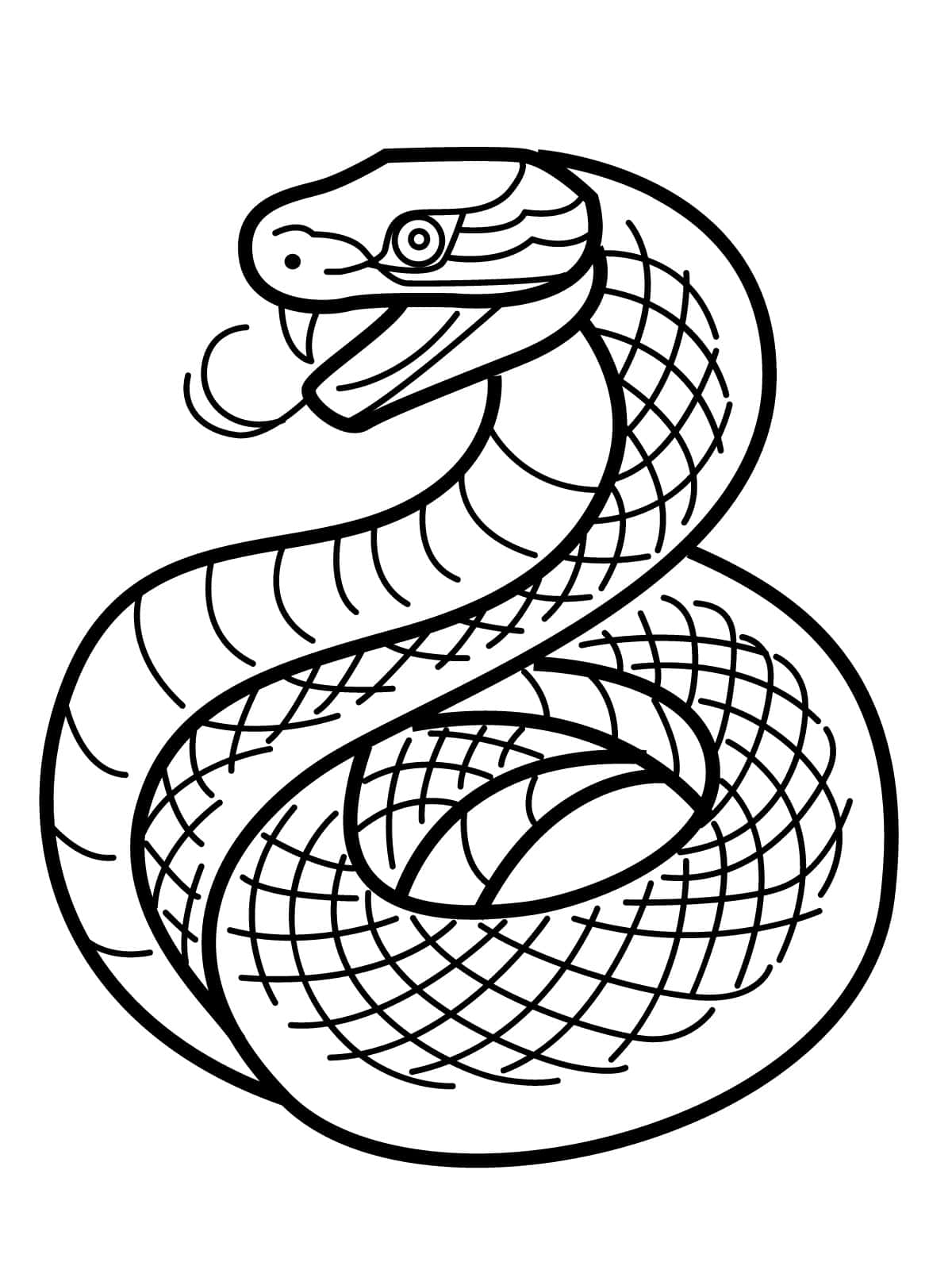 Snake With Scales Coloring Pages