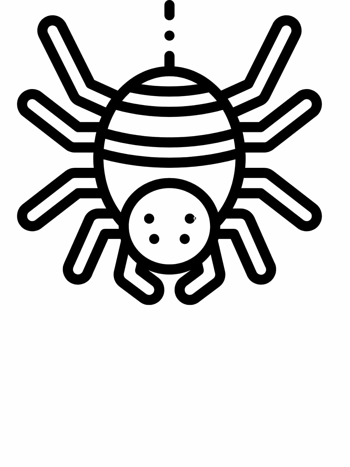 Spider In Garden Coloring Page