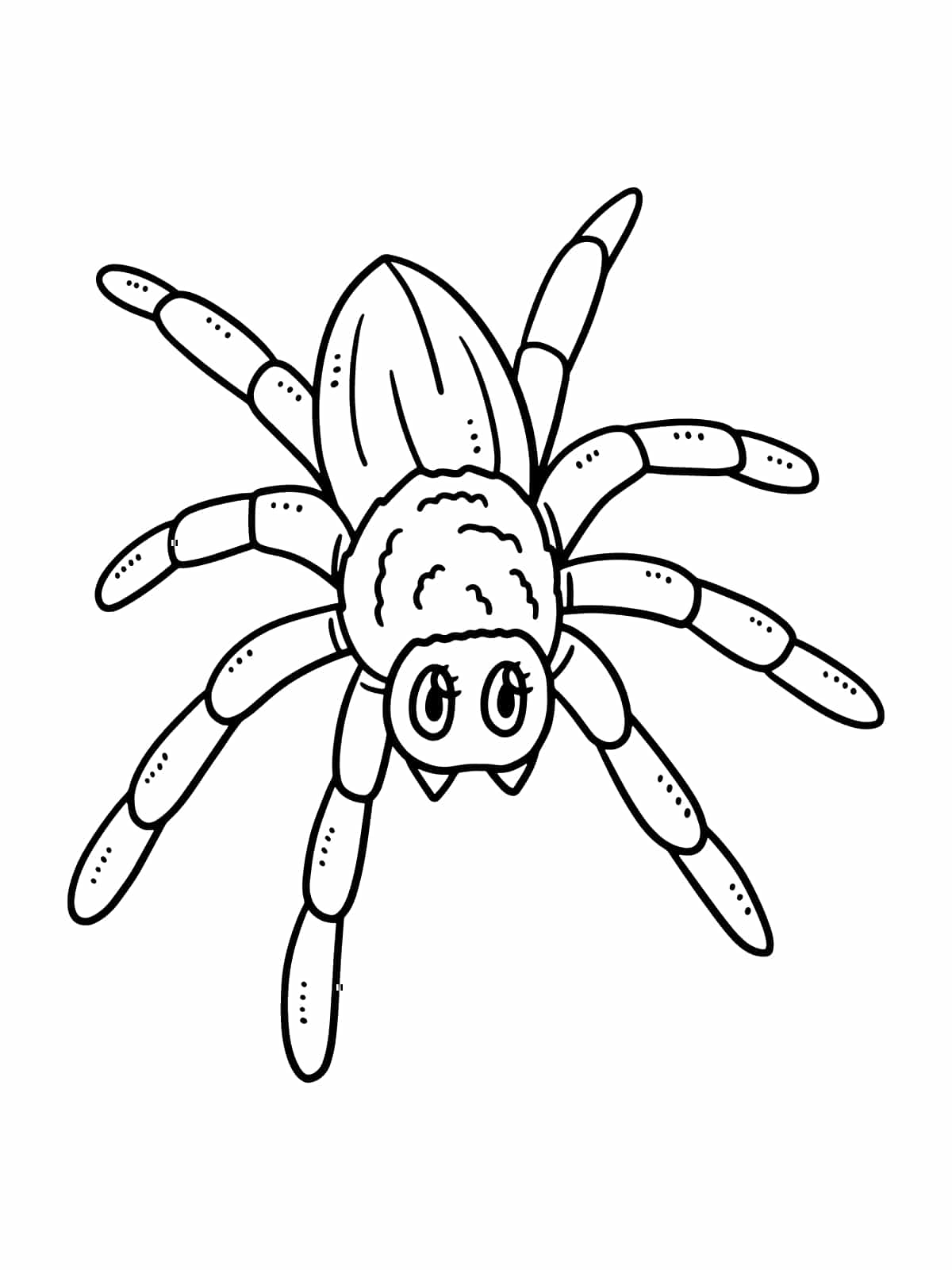 Spider In House Coloring Page