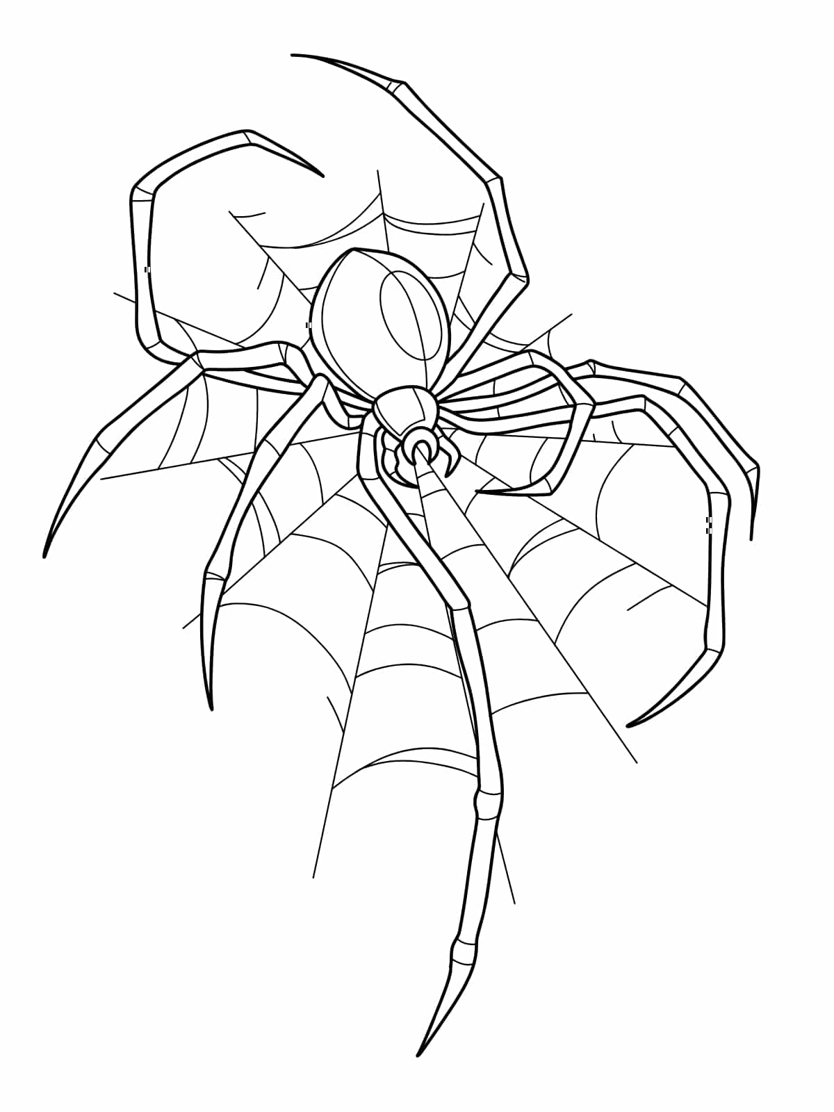 Spider On Web Coloring Page