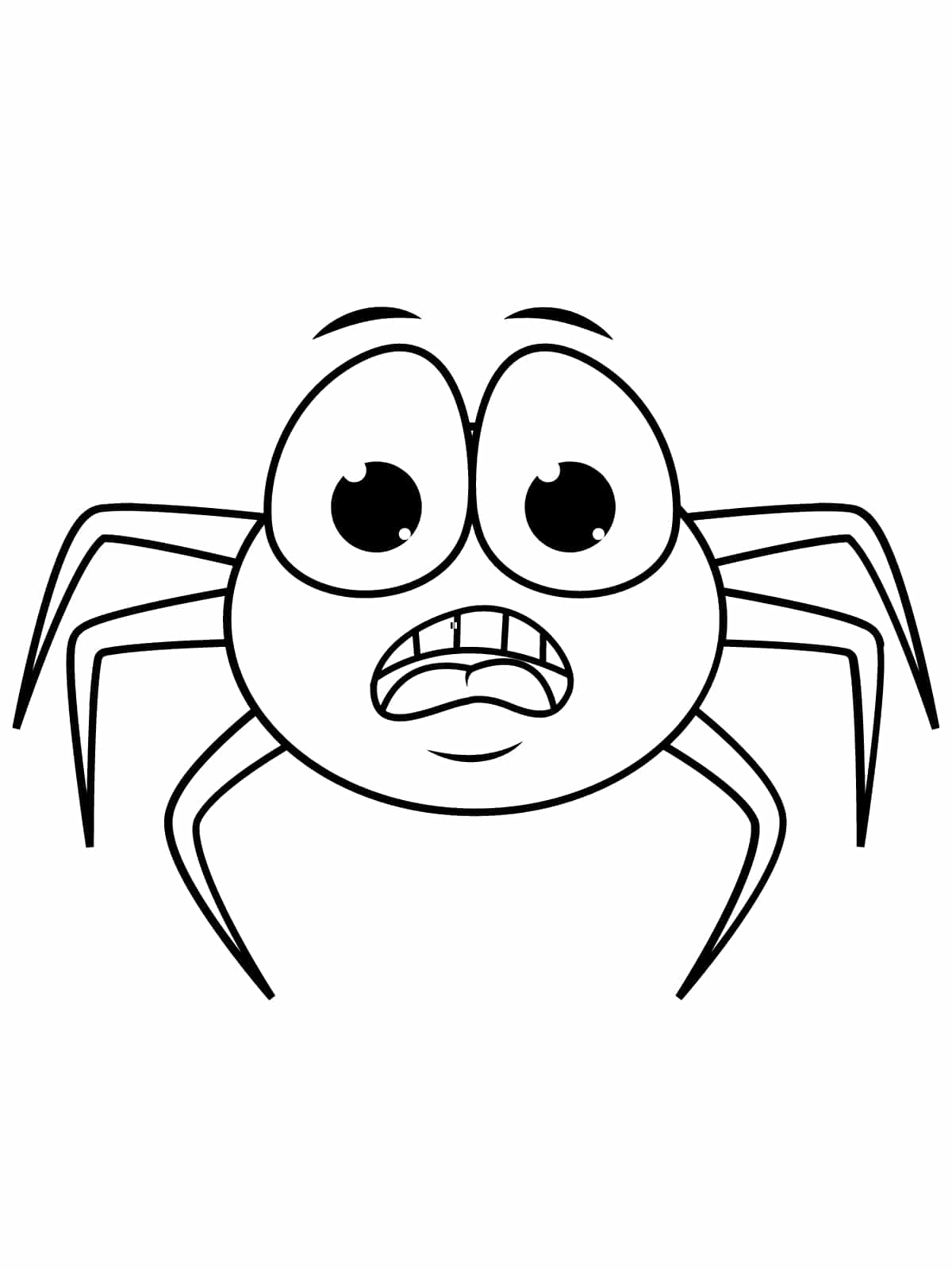 Spider With Eyes Coloring Page