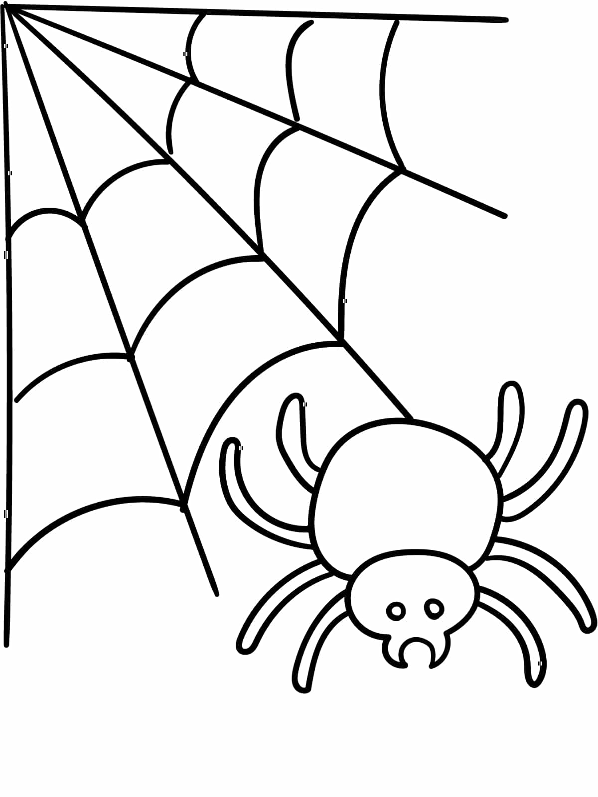 Spider With Web Coloring Page