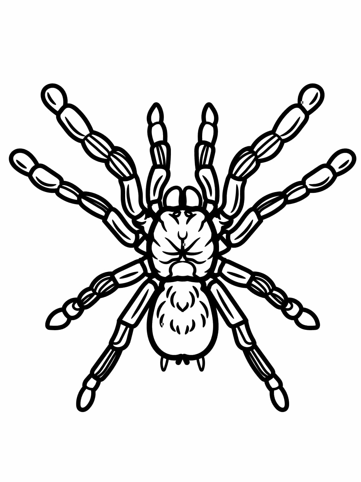 Spooky Spider Coloring Page