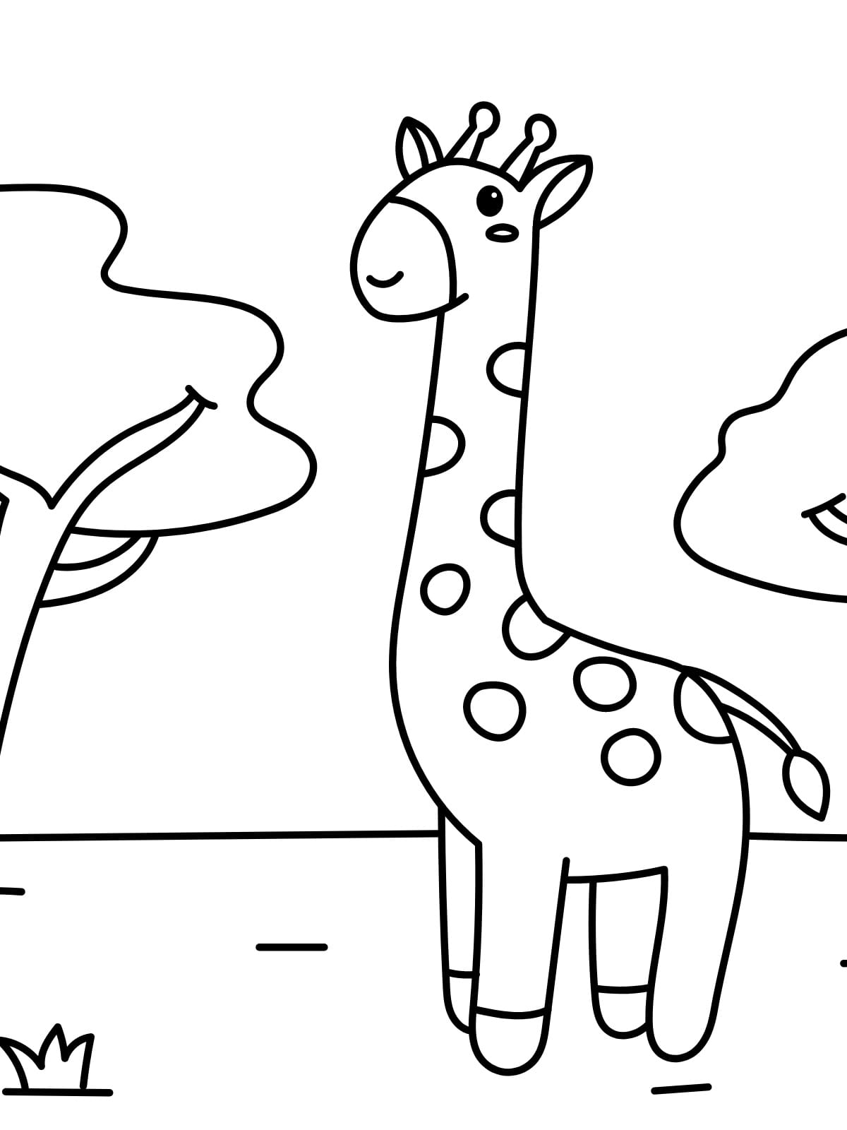 Toddler Friendly Giraffe Coloring Pages