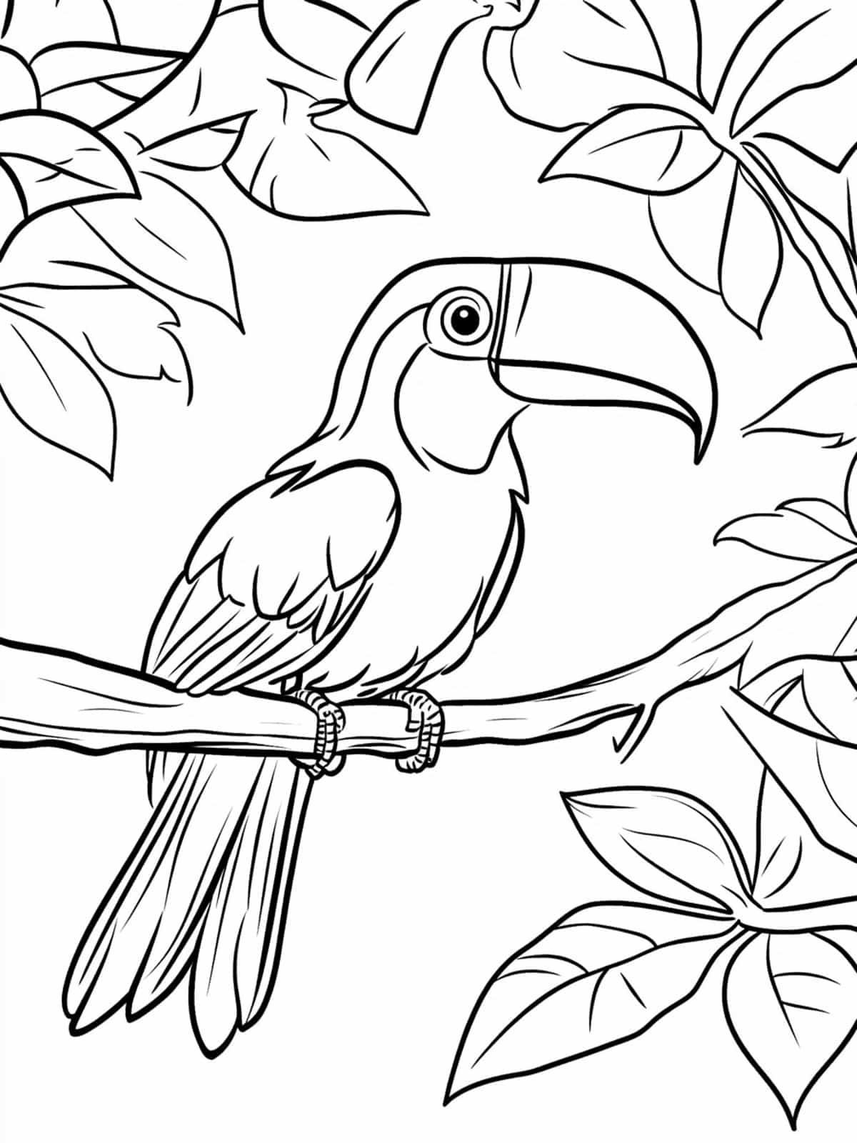 Toucan And The Amazon River Coloring Page