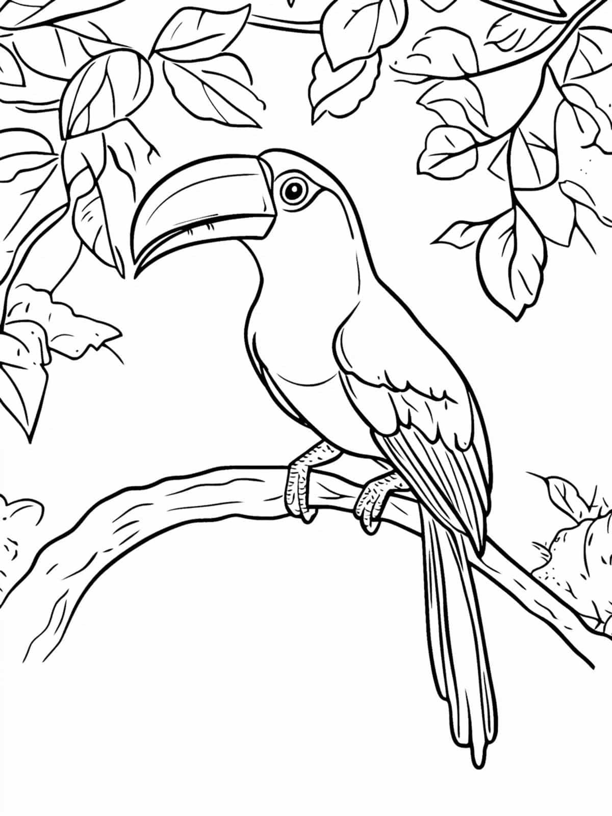 Toucan And The Amazon River Coloring Pages