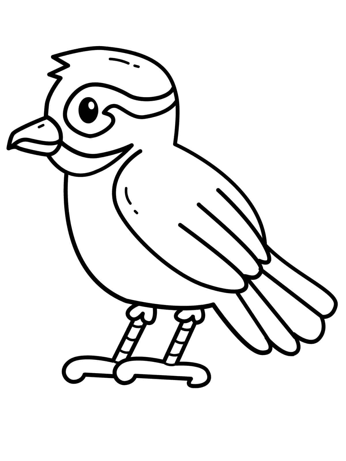 Tropical Bird Coloring Page