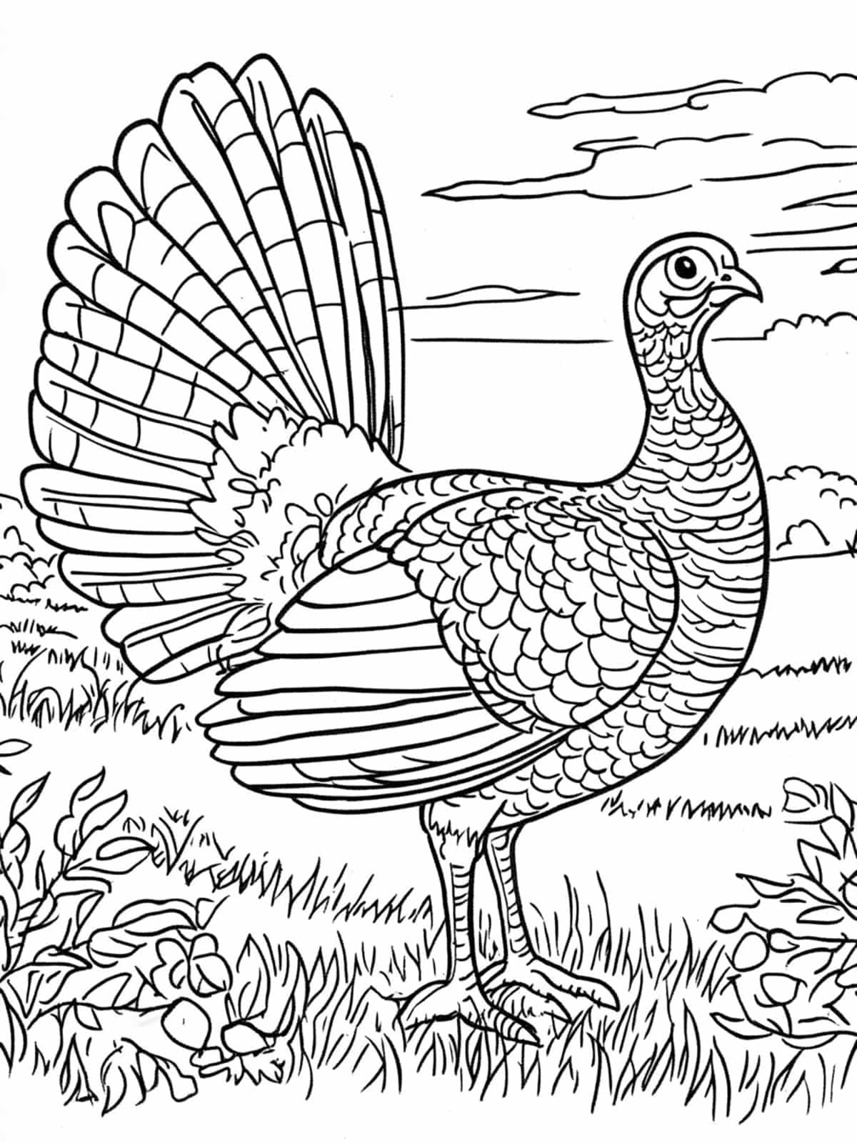 Turkey At Sunset Coloring Pages