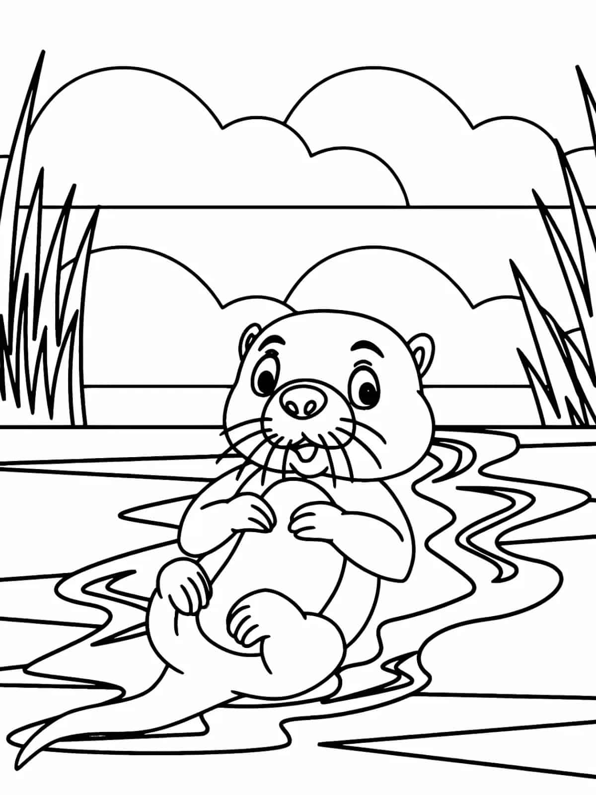 Water Animal Otter Coloring Pages