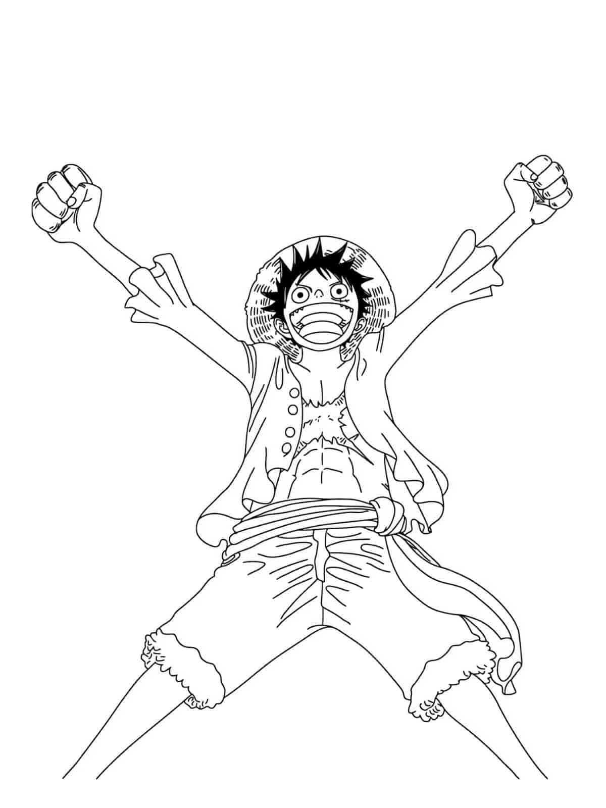 Luffy With His Crew Coloring Pages