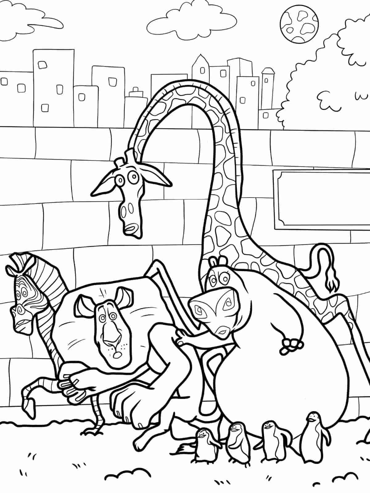 Madagascar Coloring Pages Of Lions