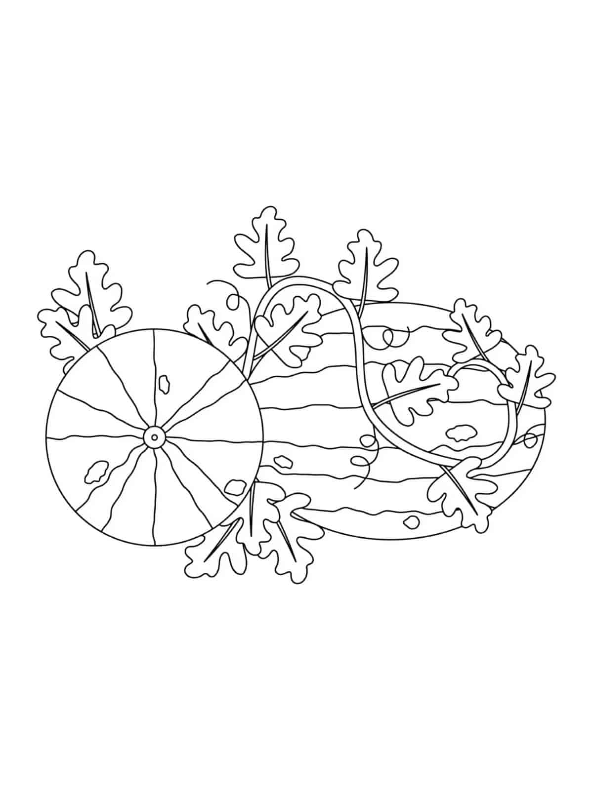 Summer Watermelon Coloring Pages