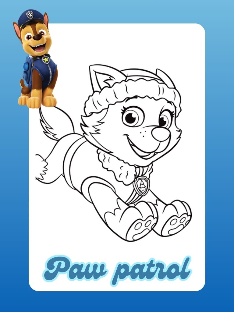 Paw Patrol Banner Homepage